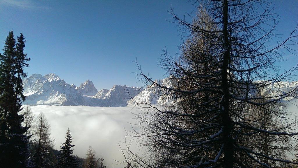 Hotel Sextnerhof سيستو فيورنتينو المظهر الخارجي الصورة